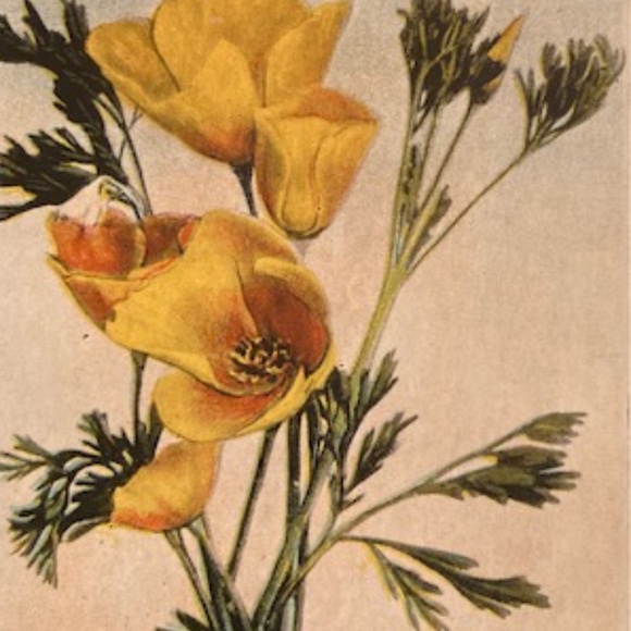 Happy Poshing! - Picture 12 of 16